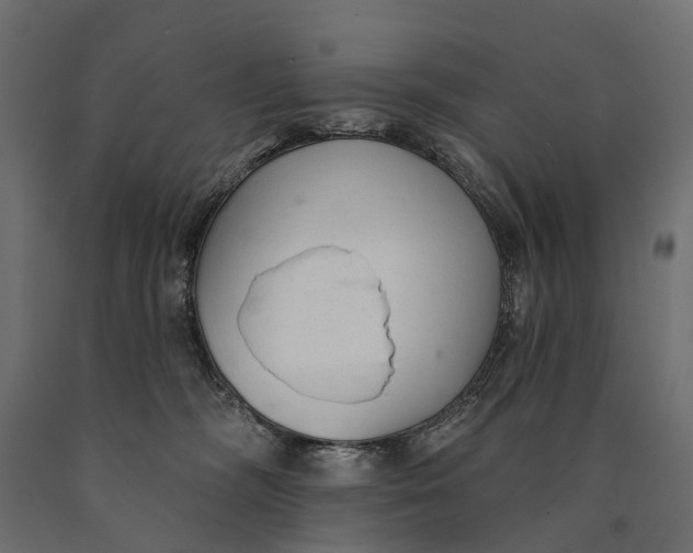 X0000090460326200708031247