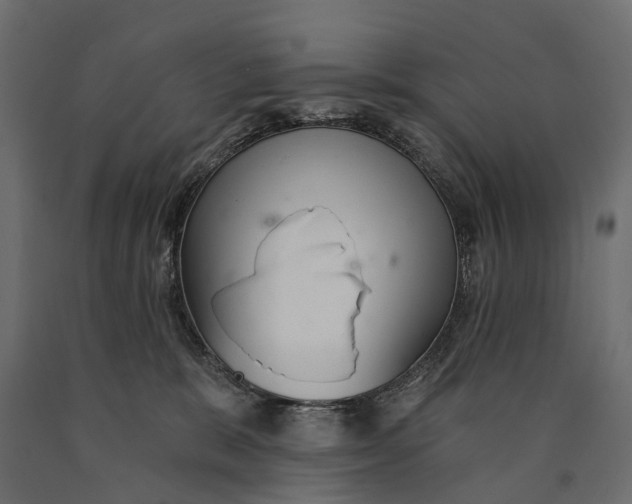 X0000090460327200708031247
