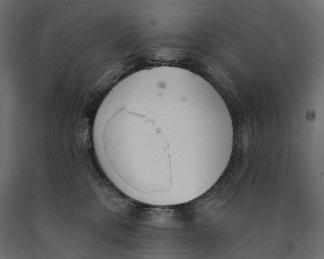 X0000090460328200708031247