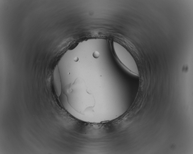 X0000090460329200708031247