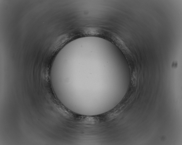 X0000090460330200708031247