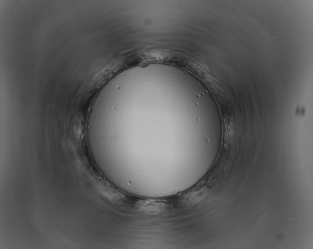 X0000090460331200708031247