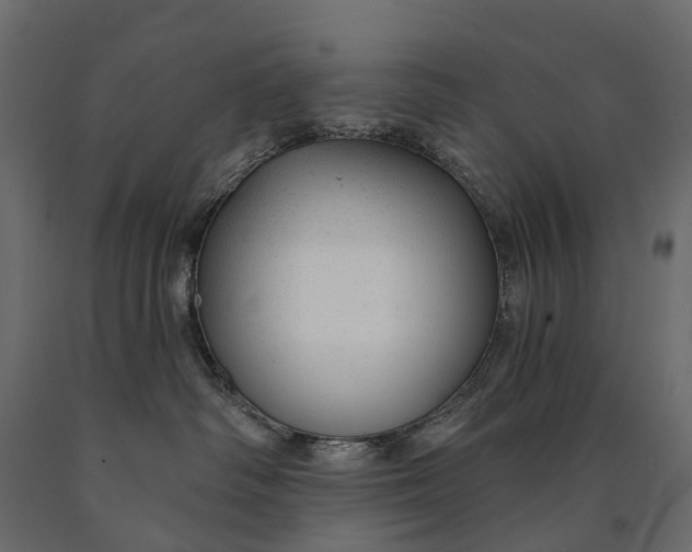 X0000090460334200708031247