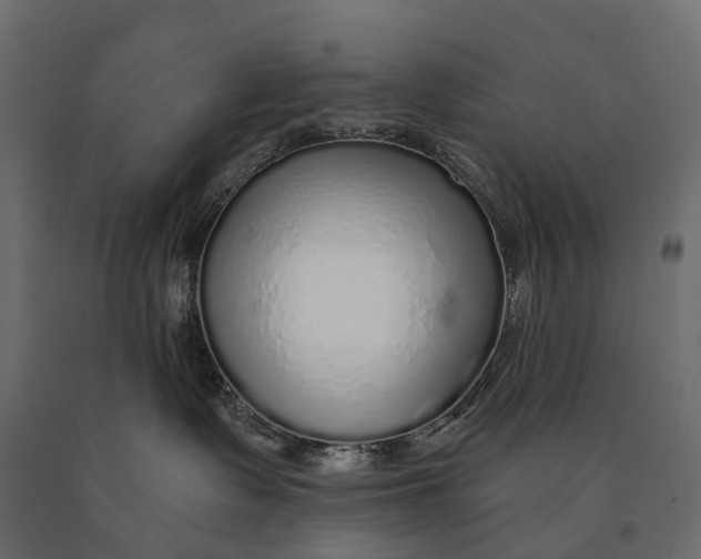 X0000090460335200708031247