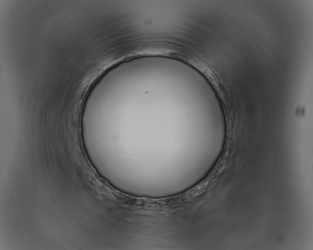 X0000090460337200708031246