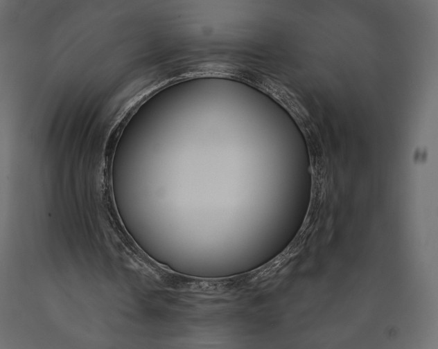 X0000090460338200708031246