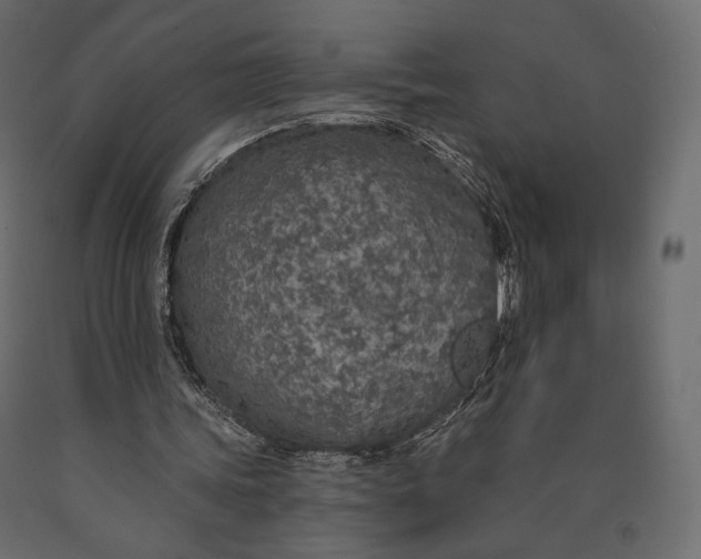 X0000090460339200708031246
