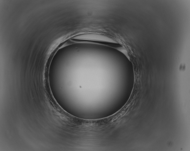 X0000090460340200708031246