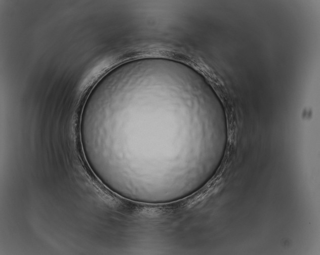 X0000090460341200708031246
