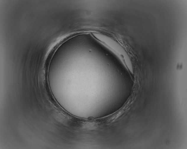 X0000090460342200708031246