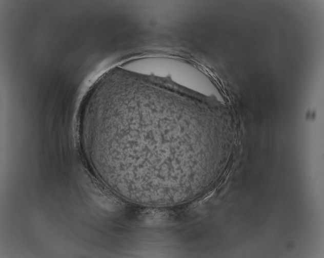 X0000090460343200708031246