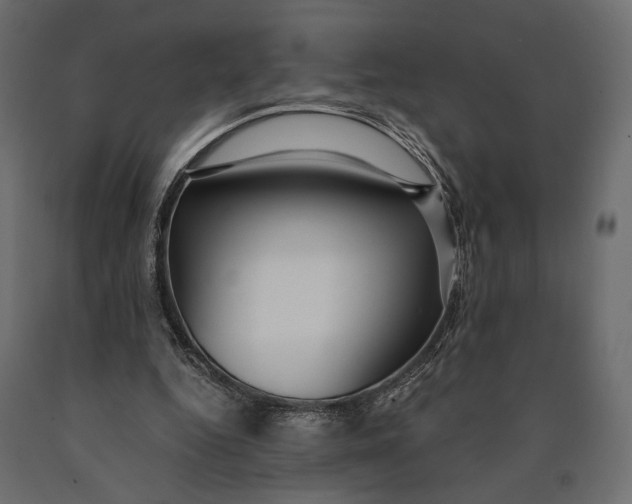 X0000090460344200708031246