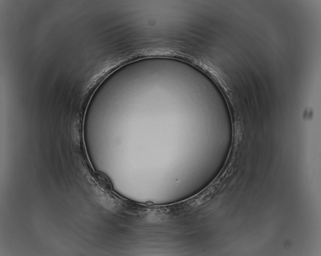 X0000090460345200708031246