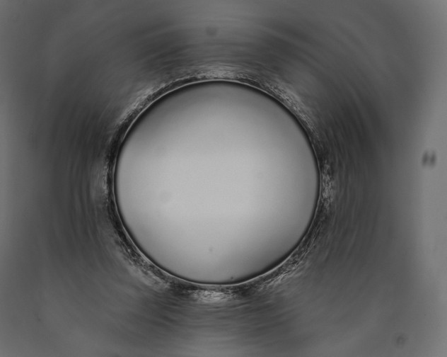 X0000090460347200708031246