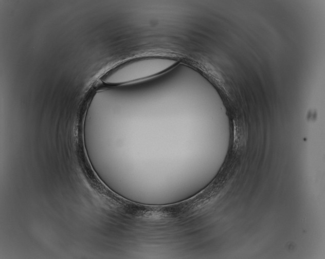X0000090460348200708031246