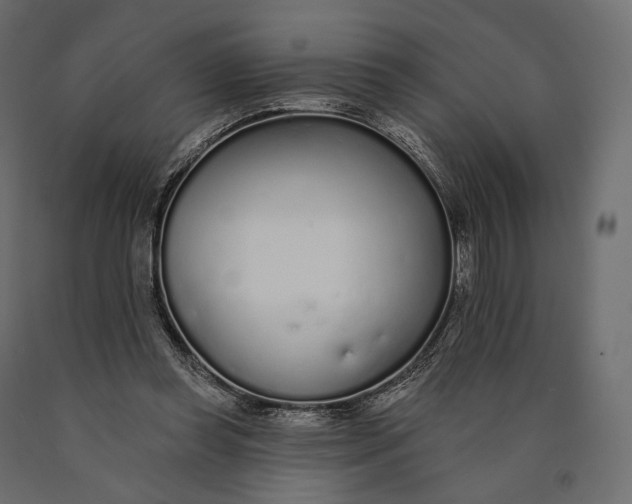 X0000090460349200708031246
