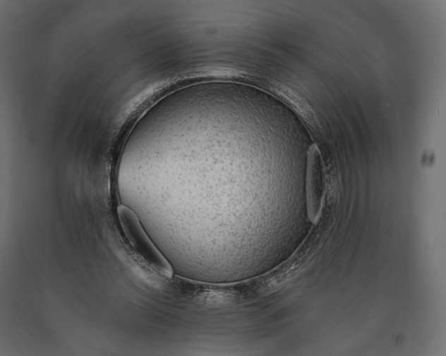 X0000090460350200708031246