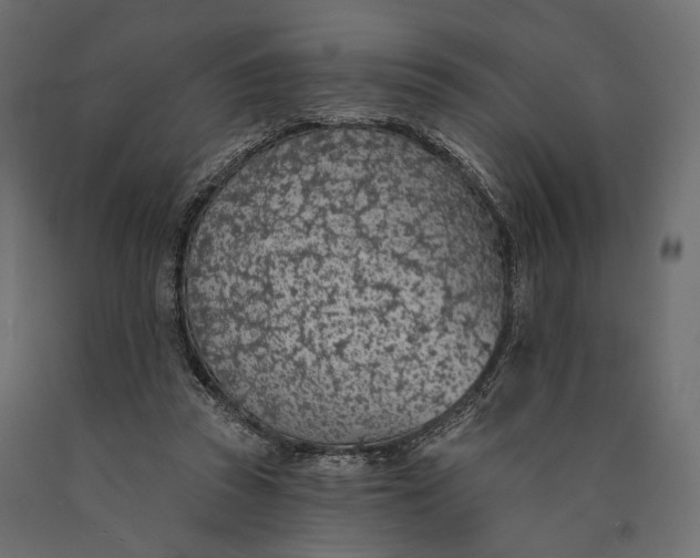 X0000090460353200708031246