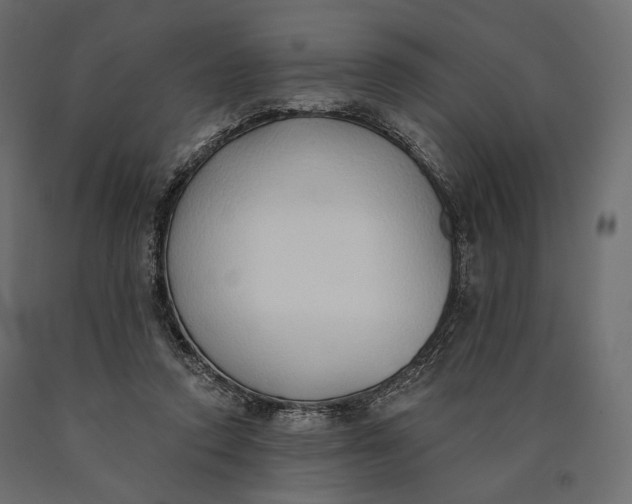 X0000090460354200708031246