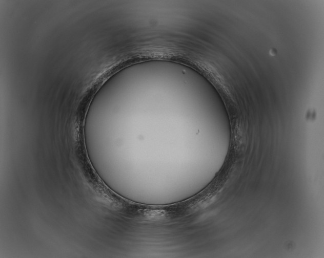X0000090460355200708031246