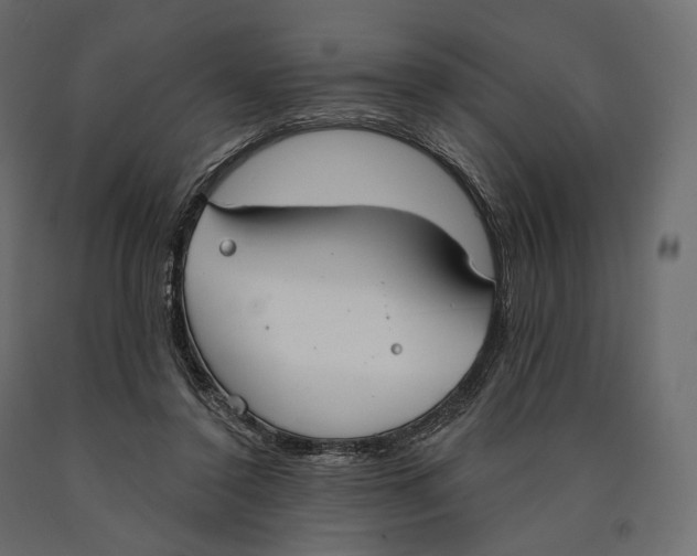 X0000090460356200708031246