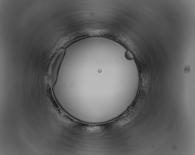 X0000090460357200708031247