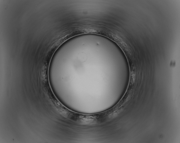 X0000090460359200708031247
