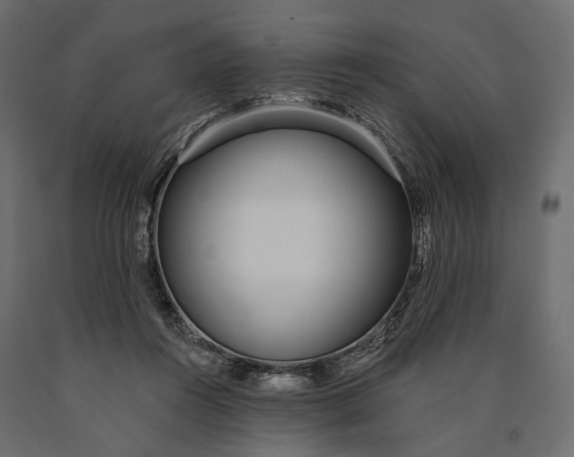 X0000090460360200708031247
