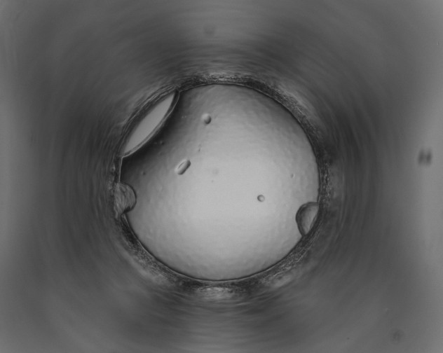 X0000090460361200708031247