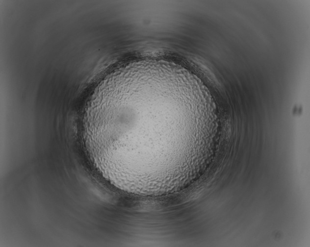 X0000090460363200708031247
