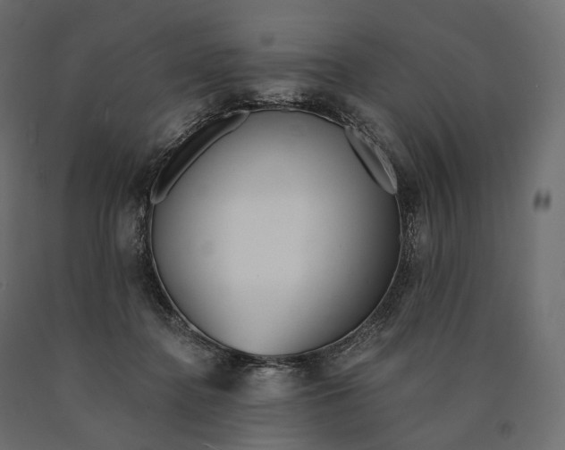 X0000090460364200708031247