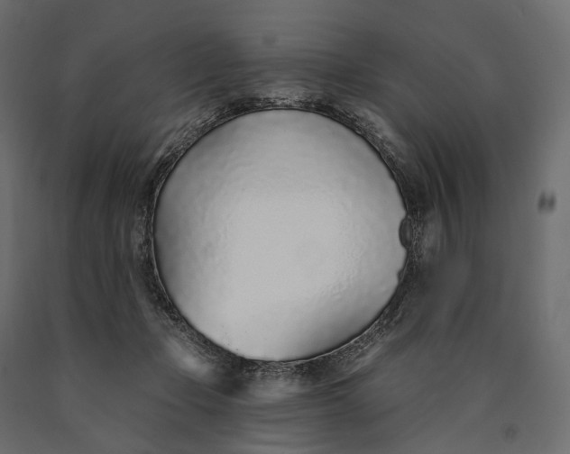 X0000090460365200708031247