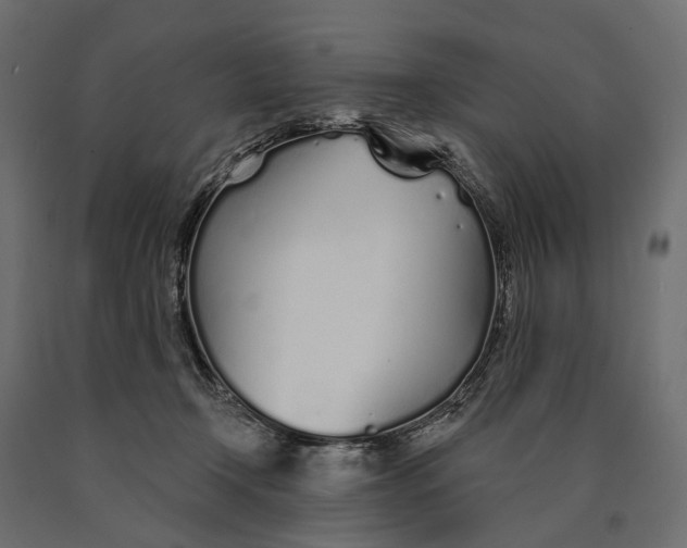 X0000090460366200708031247