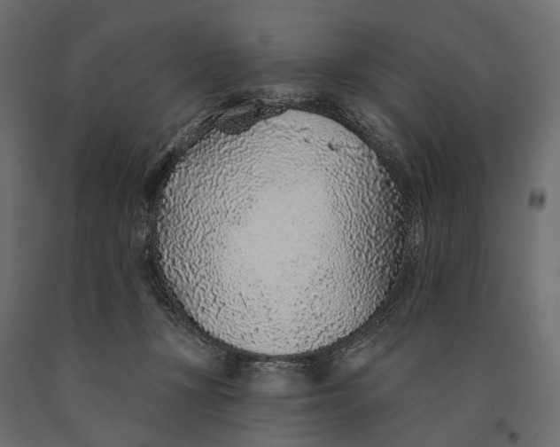 X0000090460367200708031247