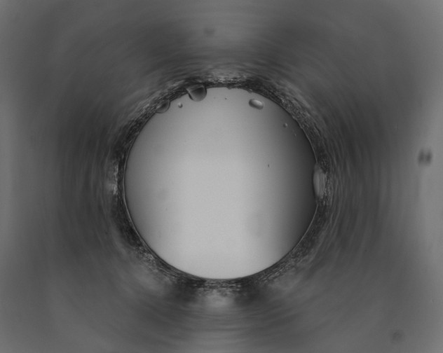 X0000090460368200708031247
