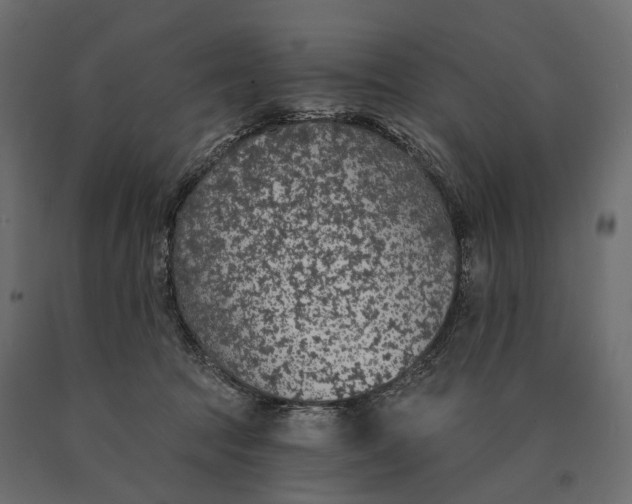 X0000090460369200708031247