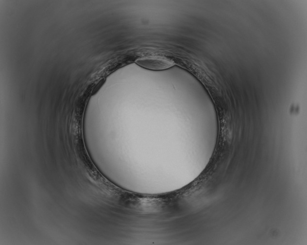 X0000090460371200708031247