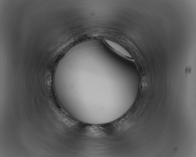 X0000090460372200708031247
