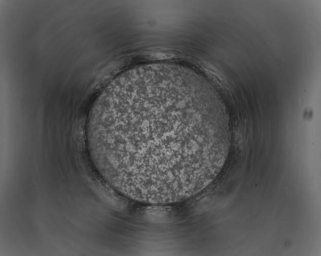 X0000090460373200708031247