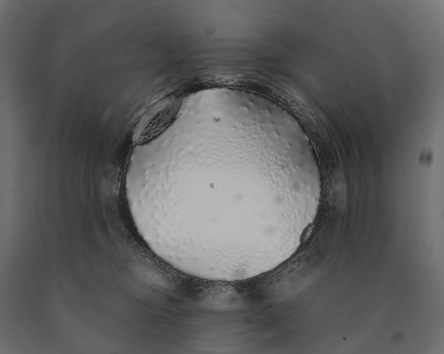 X0000090460374200708031247