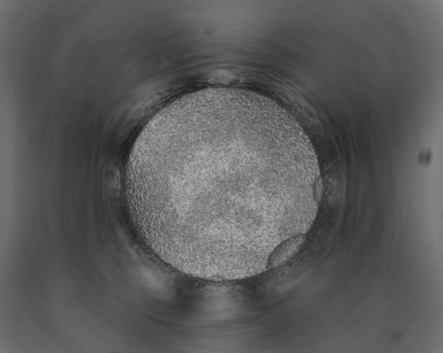 X0000090460375200708031247