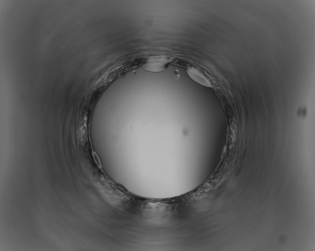 X0000090460376200708031247
