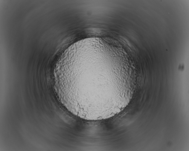 X0000090460377200708031247