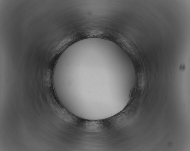 X0000090460378200708031247