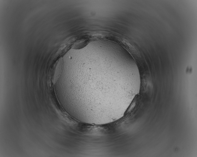 X0000090460379200708031247