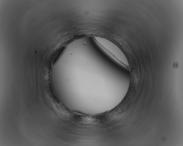 X0000090460380200708031247