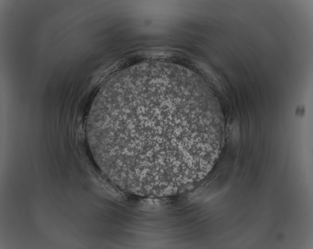 X0000090460381200708031247