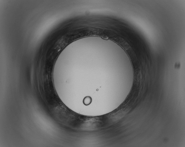X0000090460382200708031247