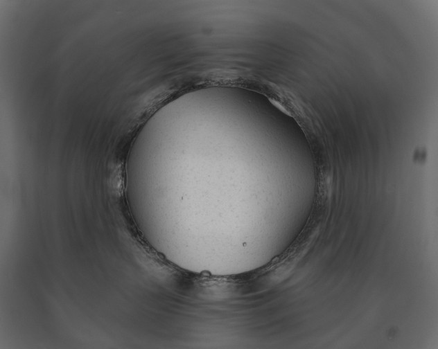 X0000090460383200708031247