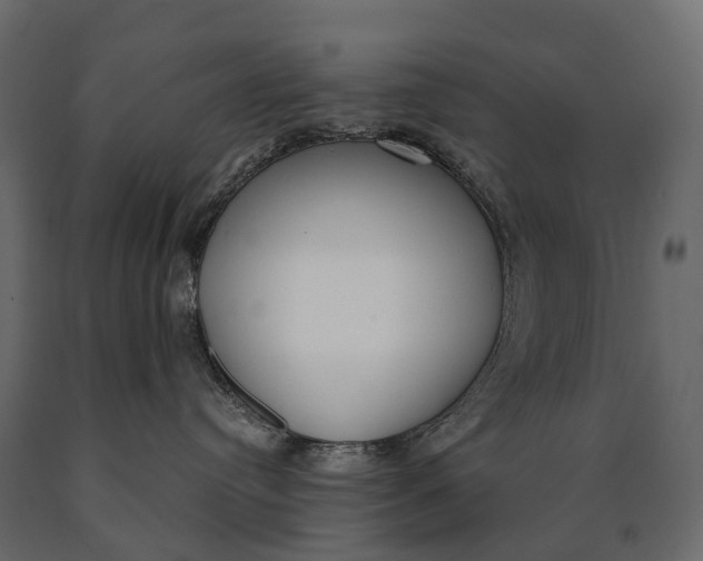 X0000090460384200708031247